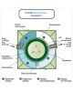 Гринлос Аква 8 Лонг - фото 5