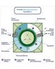 Гринлос Аква 8 Супер Лонг - фото 5